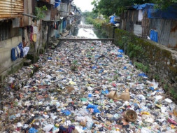 Save Ecosystem - Save Our Future