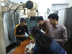 For Veterinary Shelter Cum Hospital At Howrah