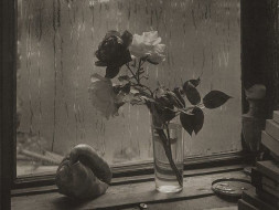 A Rose Seller In Prague | Short Film by Rajdeep Dhanuka | Crowdfunding