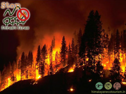 Let's Save The Himalayas From Fires