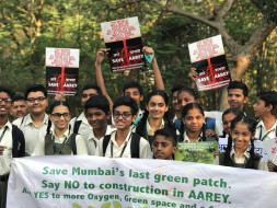 Youth for Aarey Pilot Project