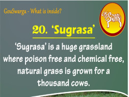 Sugrasa At GouSwarga