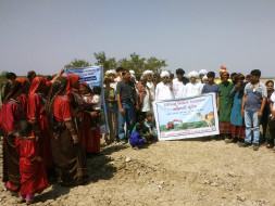 Save the Mangroves of Kutch from Salt Making Industries