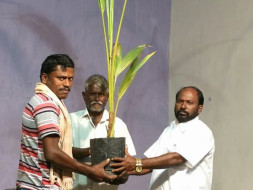 Project UYIUTHULIR- Planting A Tree.