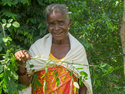 Lets create a livelihood for our Adivasis