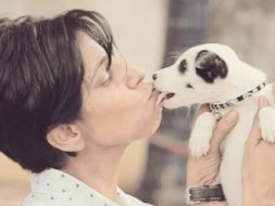 Help These Animals To Have A Permanent Home
