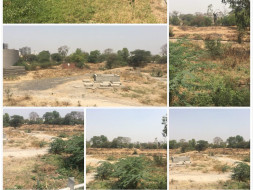 Support us to Develop Green Belt in Vasna Barrage on Sabarmati River