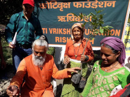 Support Koti Vriksha Foundation for Himalayan Tree Plantation.