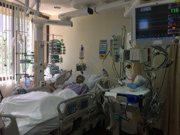 Help Nagashri Survive