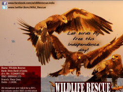 Save Birds of Delhi!!!