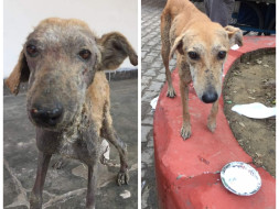 Only If We Help.. Shall They Be Saved.
