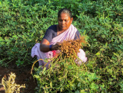 Help Farmers And Hawkers To Raise Their Livelihood