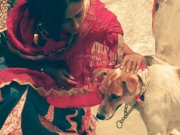 Help Kaveri Save Her 65 Speechless Souls