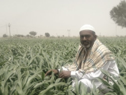 Give Water To Natural Farm In Indian Desert