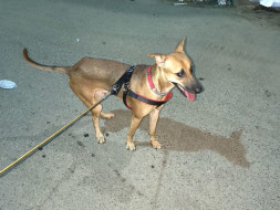 Help Carlo Get Treated