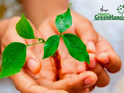 Plant trees online with Project Green Hands!