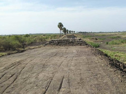Tree Plantation in Pudukkottai & Sivakasi of Tamil Nadu