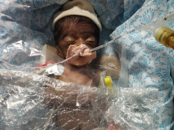 Help Deivanai and Bushanam Save Their Girl