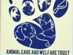 Help Sick and Injured Animals Get Ambulance Service on the Spot