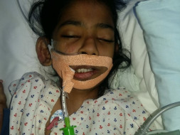 Please Help Us Save Nashra