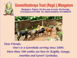 Sponsor for maintenance of more than 300 cattle in Govanithashraya