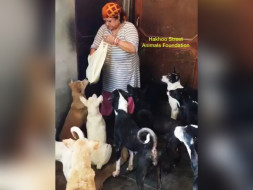 Help Namrata save the speechless souls