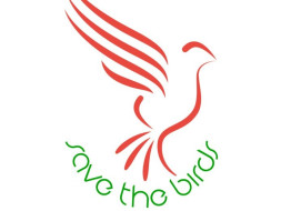 Save Birds