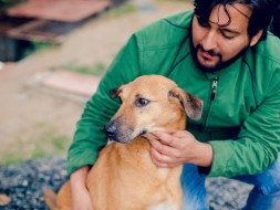 Help Earthlings Trust Build Heaven For Strays