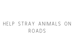 Help Stray Animals On Road