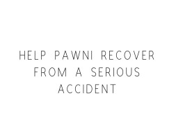 Help Pawni Recover From A Serious Accident