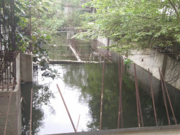 Help us to remove the accumulated rainwater and fill it up with cement