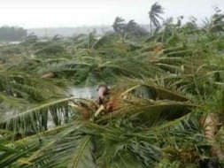 Save My Village From Natural Disaster Gaja Cyclone