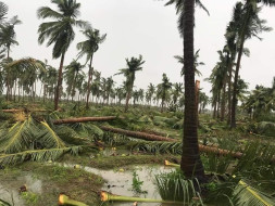 Help My Family Recover from Cyclone 'Gaja'