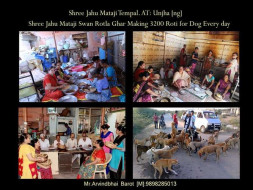 Help Us Provide Help to Street Dogs
