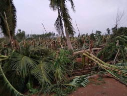Help us Provide Relief in Peravurani (Delta) Due to Gaja Cyclone