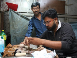 AASTHA (ANIMAL SHELTER CUM HOSPITAL)