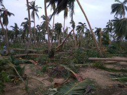 Rebuild Aayakaranpulam/Panchanathikulam Villages After Cyclone Gaja