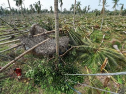 Save Delta Region - Gaja Cyclone - Relief Campaign
சோழதேசம் மீட்க..