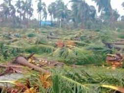 Help Gaja Cyclone Victims Recover