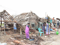 Help BWDC Support Gaja Cyclone Victims