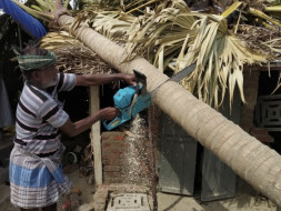 Rebuild Pushpavanam after Cyclone Gaja