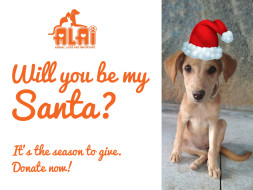 Be the Santa for ALAI Rescues!