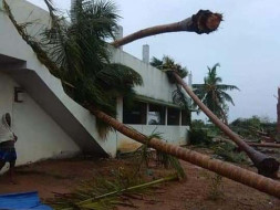 Cyclone Gaja Relief - Thirutharaipoondi (Thiruvarur)