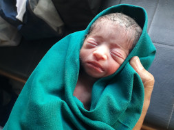 Help My Pre-mature Baby Recover In The NICU