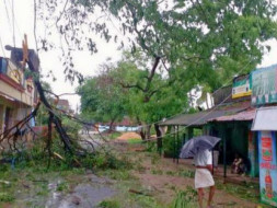 Save Delta - Gaja cyclone relief campaign