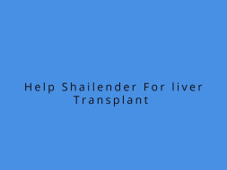 Help Shailender Liver Transplant