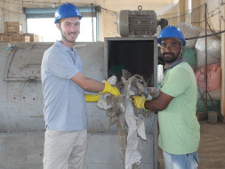 Save Cows by Preventing Plastic Pollution