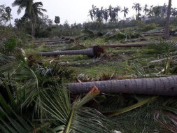 Help Us Provide Relief in Cyclone Affected Areas