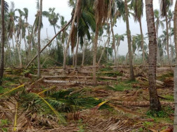 Save Delta| Cyclone Gaja Releif Campaign