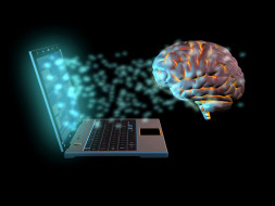 Help Us Understand How Brain Works